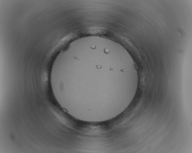 X0000113550260200910161441