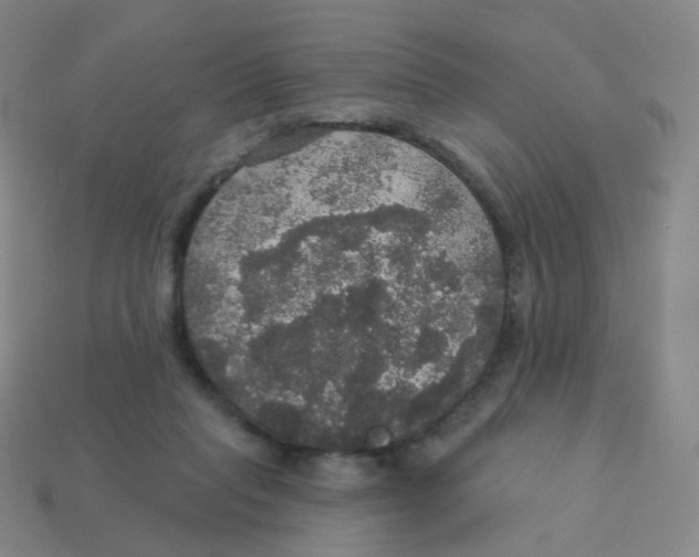 X0000113550261200910161441