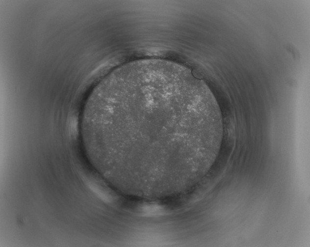 X0000113550262200910161441