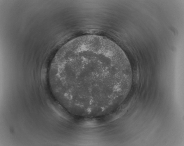 X0000113550263200910161441