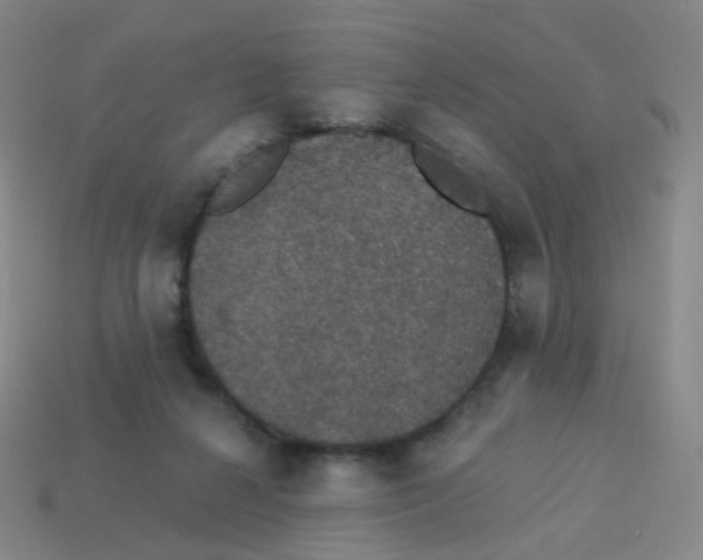 X0000113550264200910161441