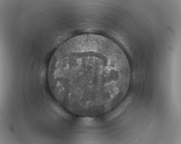 X0000113550265200910161441