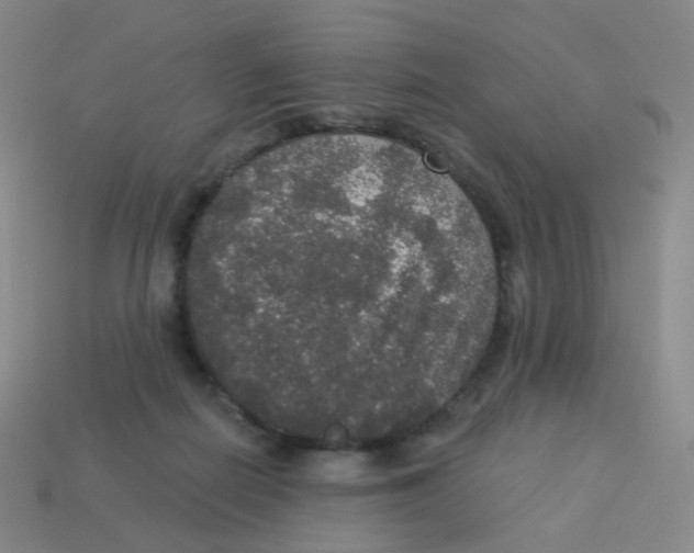 X0000113550266200910161441