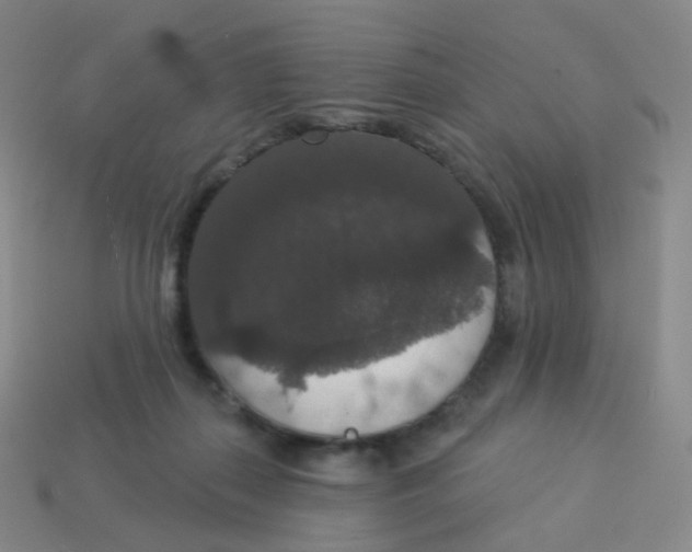 X0000113550267200910161441