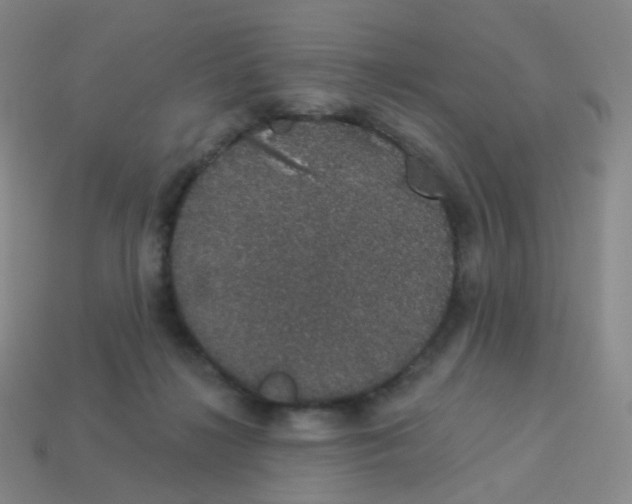 X0000113550268200910161441