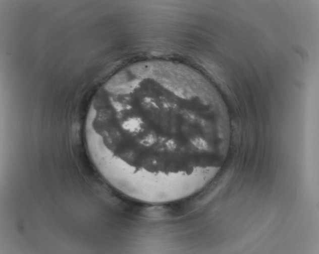 X0000113550269200910161441