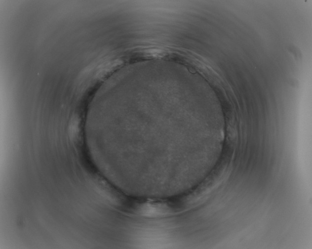 X0000113550270200910161441