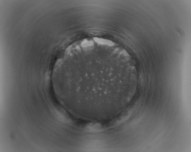 X0000113550271200910161441