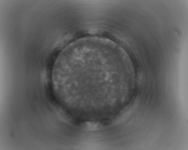 X0000113550272200910161441