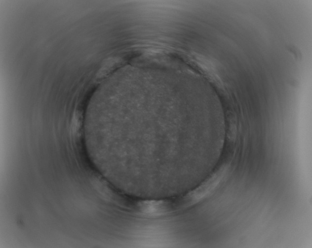 X0000113550273200910161441