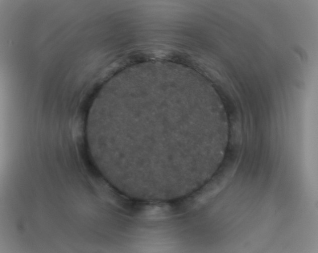 X0000113550274200910161441