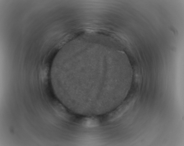 X0000113550275200910161441
