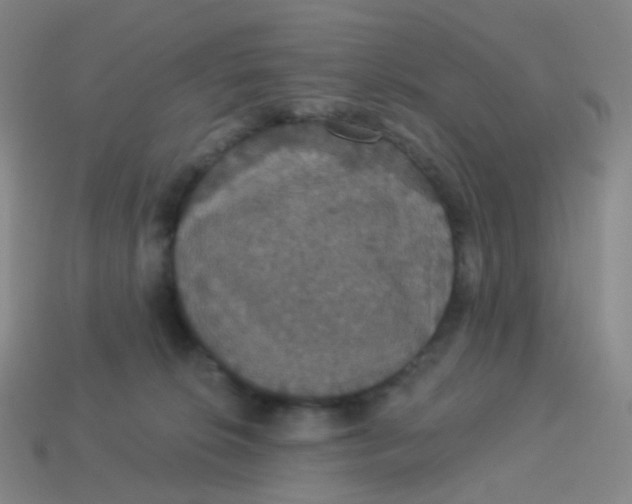 X0000113550276200910161441