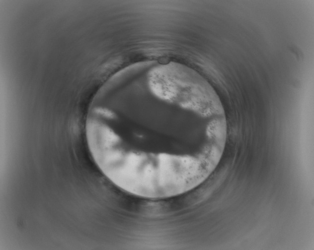 X0000113550277200910161441