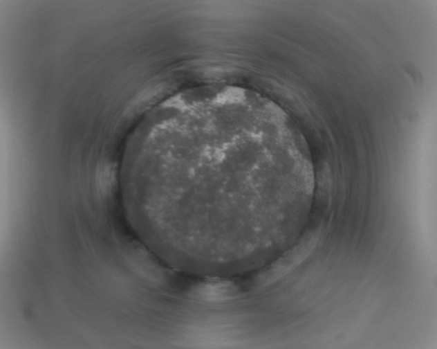 X0000113550278200910161441
