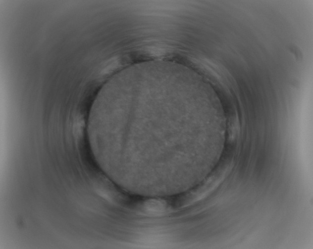 X0000113550279200910161441