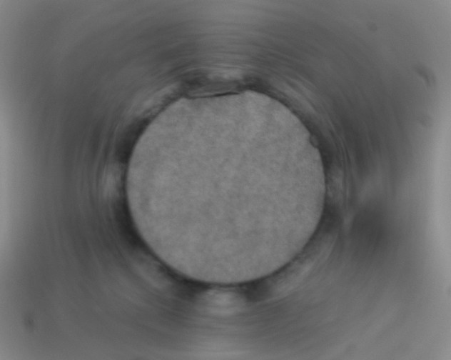 X0000113550280200910161441