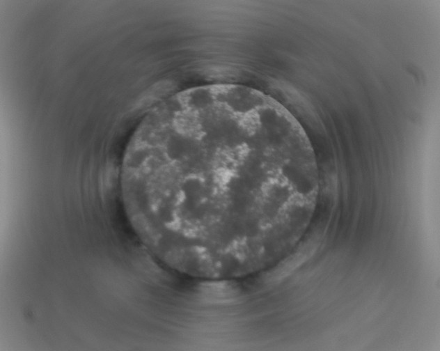 X0000113550281200910161441