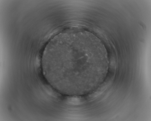 X0000113550282200910161441
