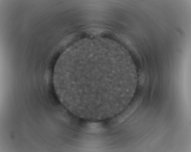 X0000113550283200910161441