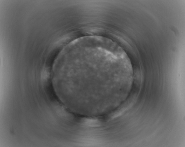 X0000113550284200910161441