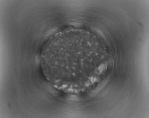 X0000113550285200910161441