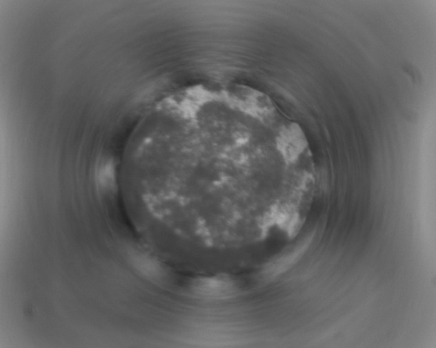X0000113550286200910161441