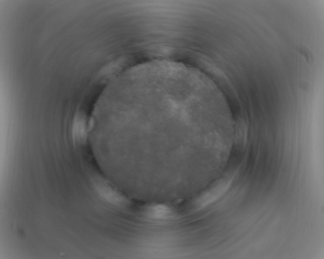 X0000113550287200910161441
