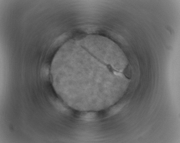 X0000113550288200910161441