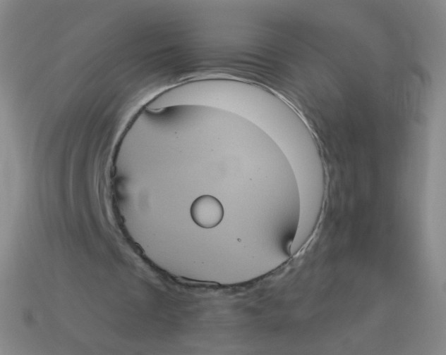 X0000113550289200910161440