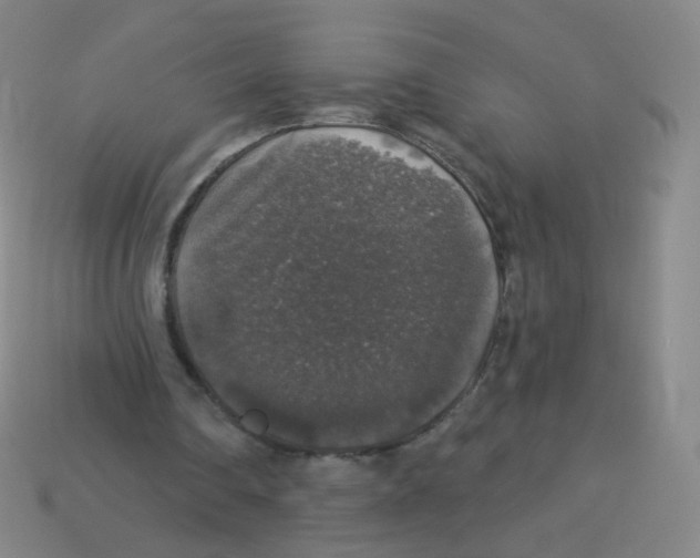 X0000113550290200910161440