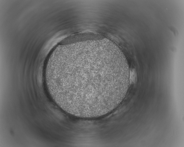 X0000113550291200910161440