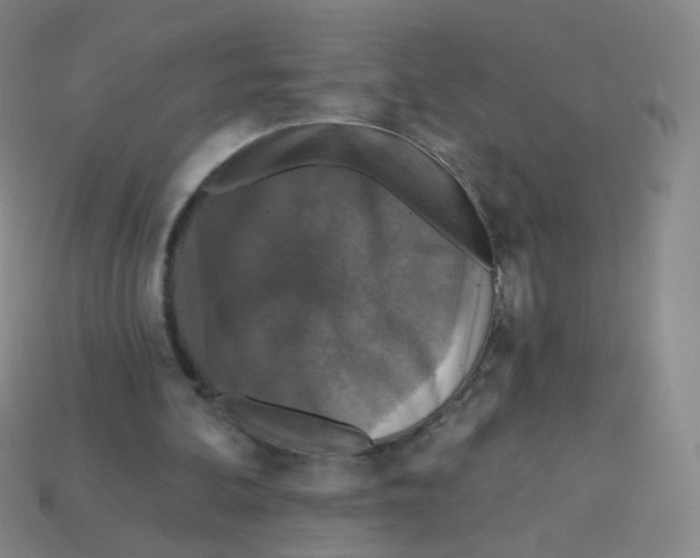 X0000113550292200910161440