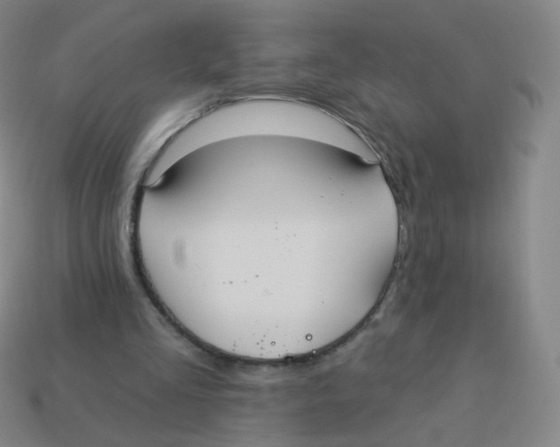 X0000113550293200910161440