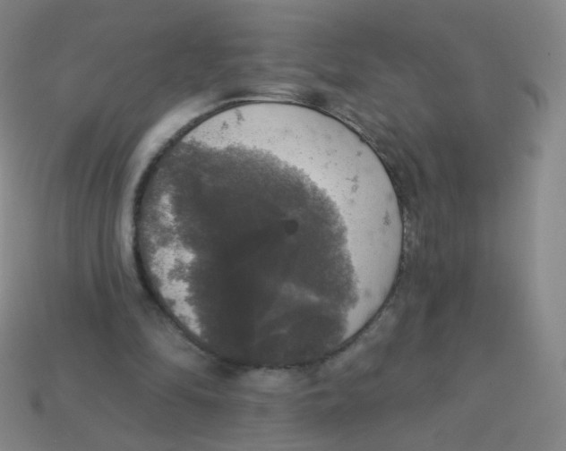 X0000113550294200910161440
