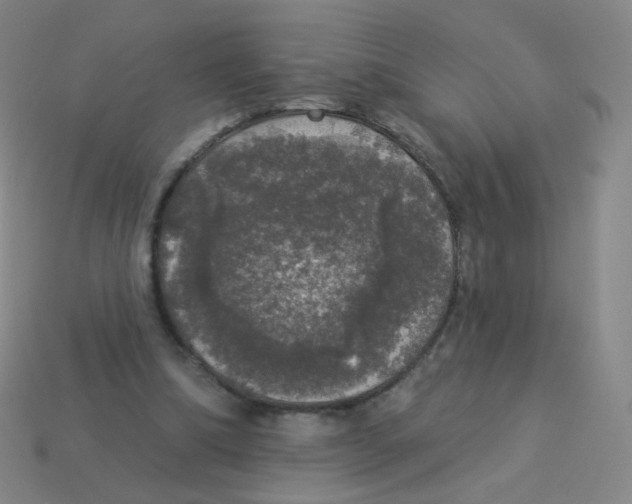 X0000113550298200910161440