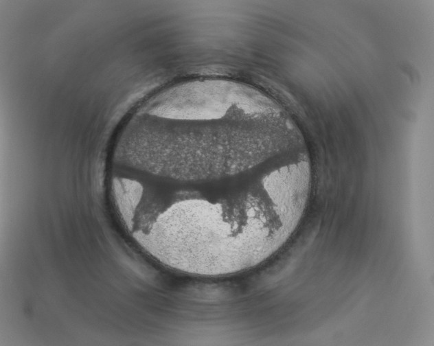 X0000113550299200910161440