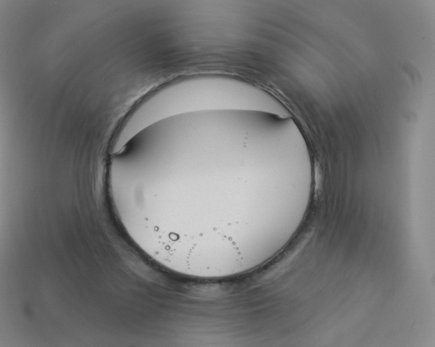 X0000113550301200910161440