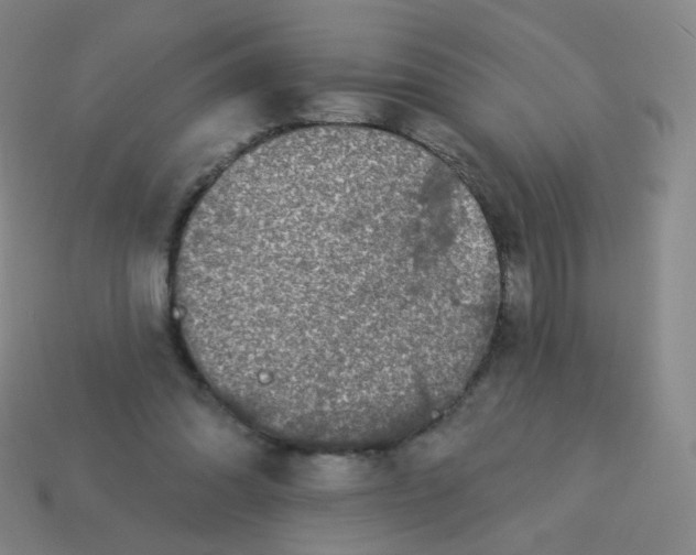 X0000113550302200910161440