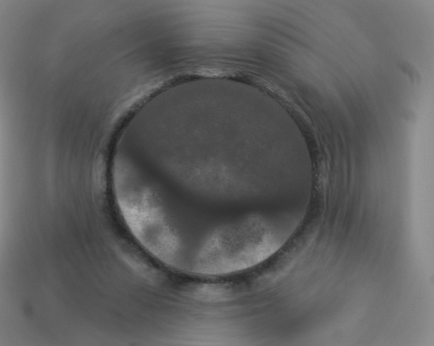 X0000113550303200910161440