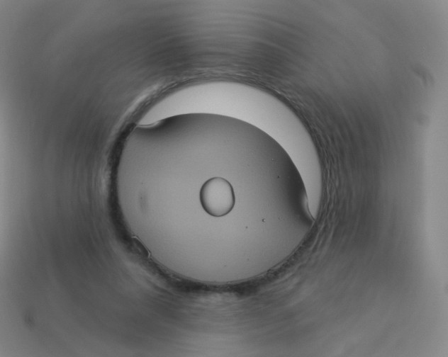 X0000113550304200910161440