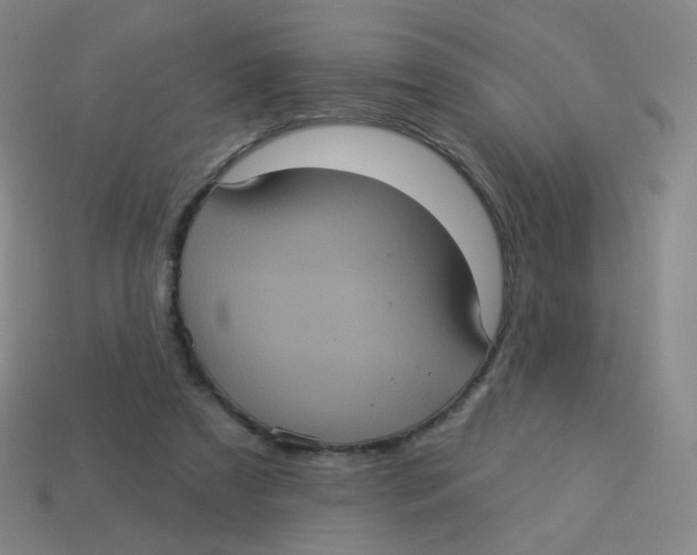 X0000113550305200910161440