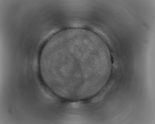 X0000113550306200910161440