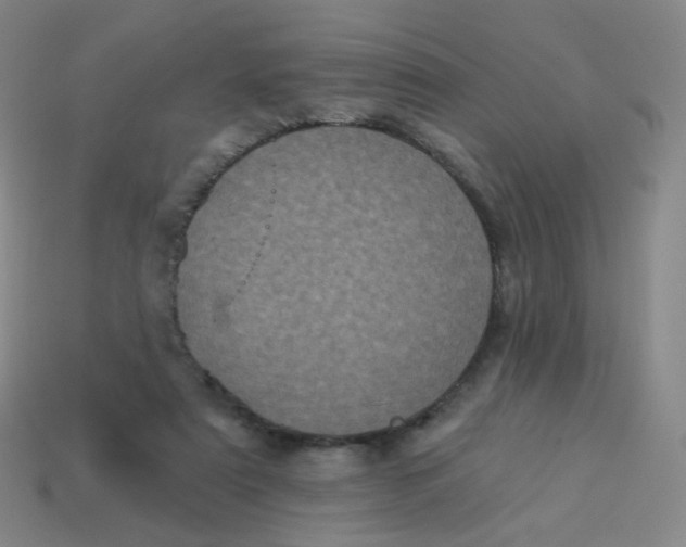 X0000113550307200910161440