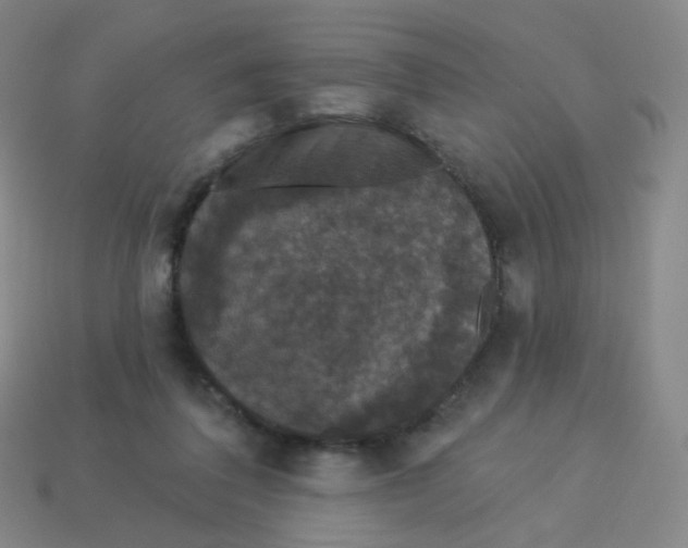 X0000113550308200910161440