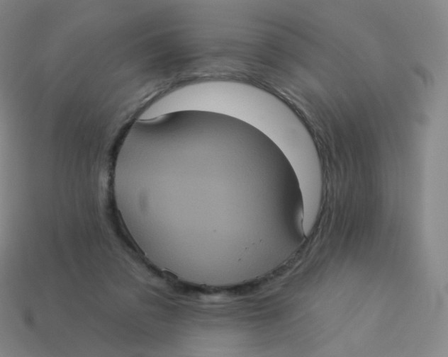 X0000113550309200910161440