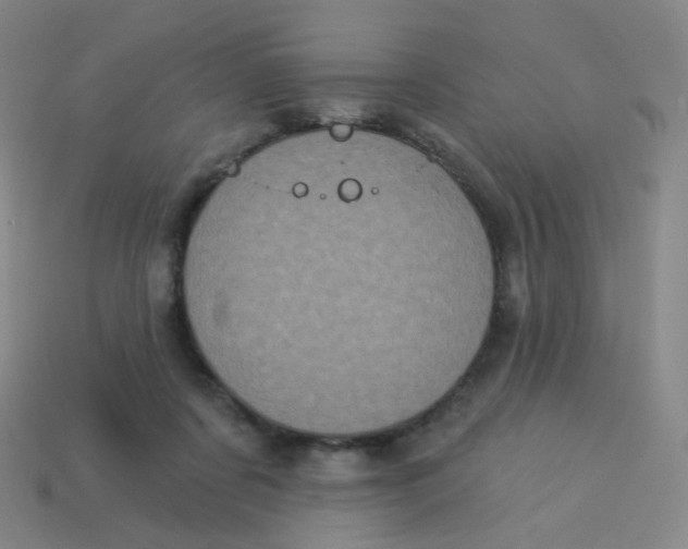 X0000113550311200910161440