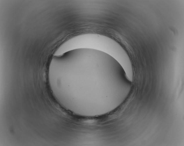 X0000113550313200910161440