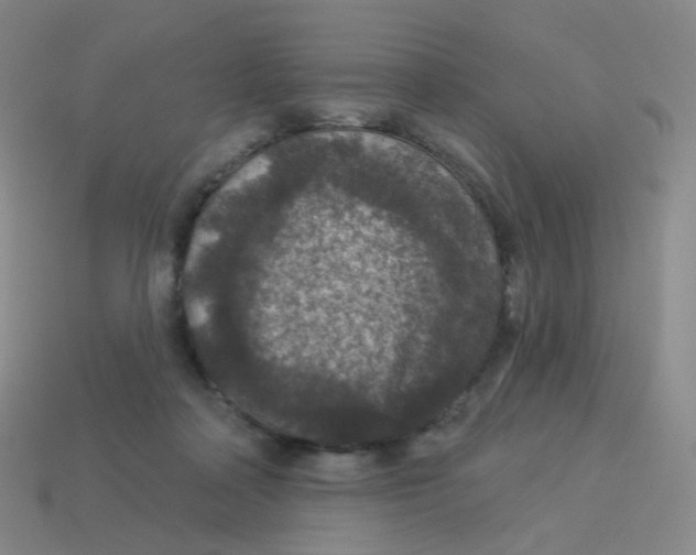 X0000113550314200910161440