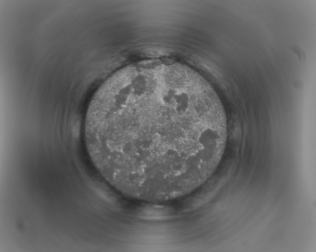 X0000113550315200910161440